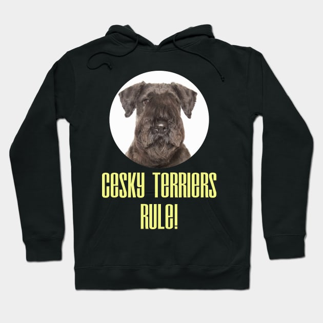 Cesky Terriers Rule! Hoodie by Naves